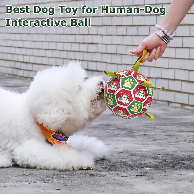 QDAN Christmas Dog Toys: Dog Soccer Ball - Image 7
