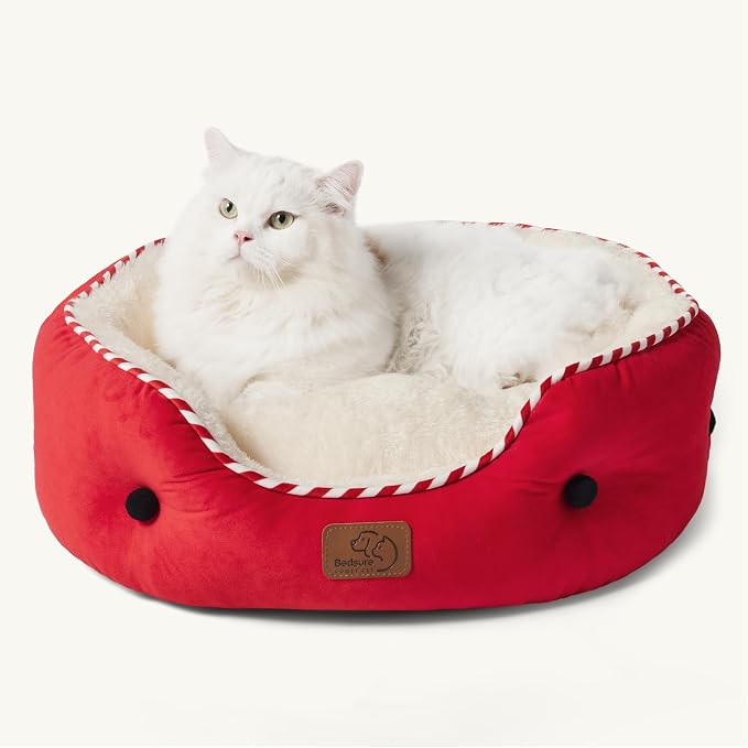 Bedsure Dog Beds for Small Dogs - Image 7
