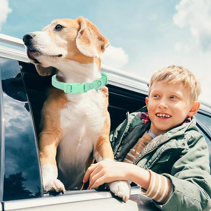 Waterproof Dog Collar Soft Rubber Dog Collar - Image 3