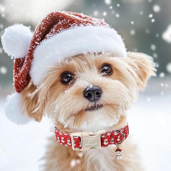 Christmas Dog Collar - Image 2