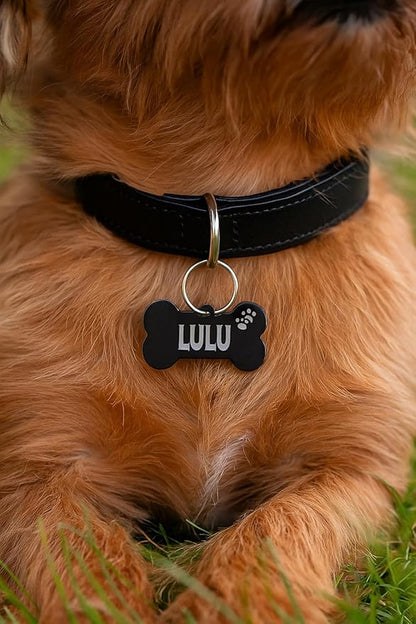Stainless Steel Personalized Pet ID Tags, Art Design - Image 5