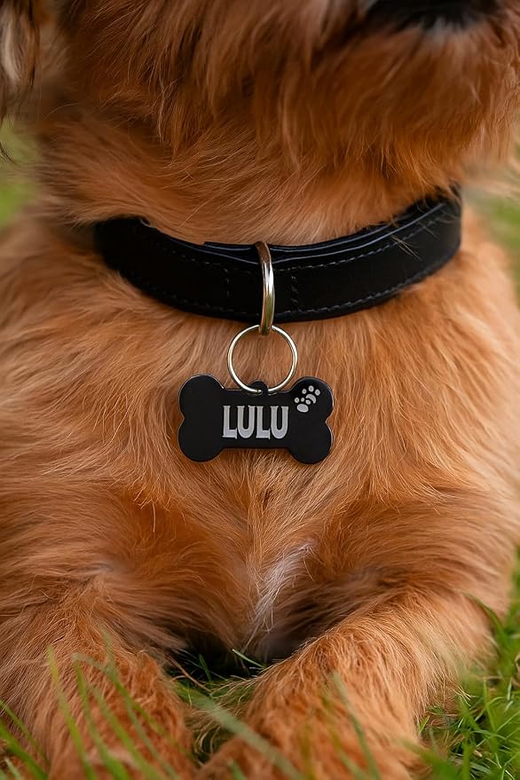 Stainless Steel Personalized Pet ID Tags, Art Design - Image 4