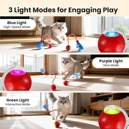 Rocfish Interactive Cat Toy for Indoor Cat, Smart Automatic Cat Chase Ball Toy - Image 3