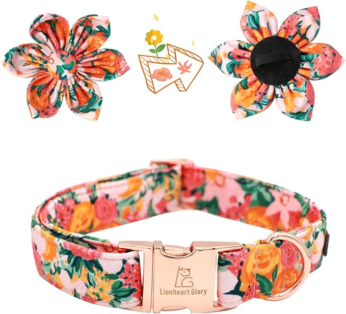 Lionheart Glory Dog Collar - Image 2