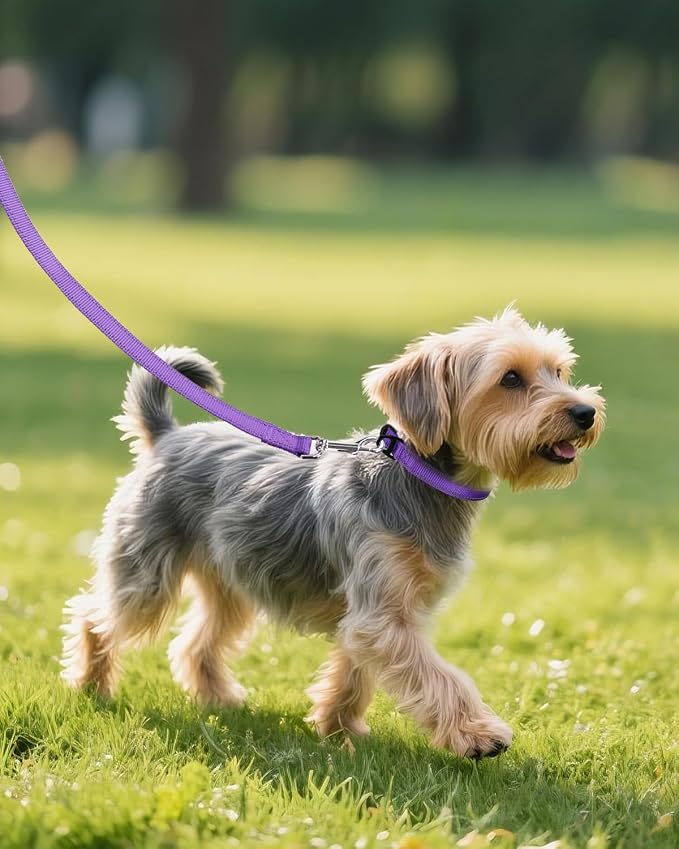 Joytale Small Dog Collar, Reflective and Adjustable Nylon Collar - Image 6