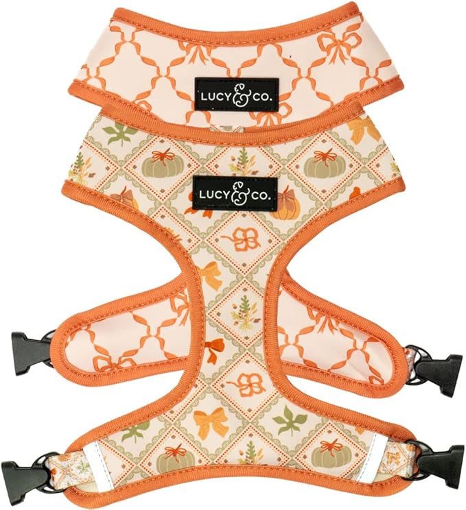 Lucy & Co. Cute Reversible Dog Harness Walking Halter by LucyCo