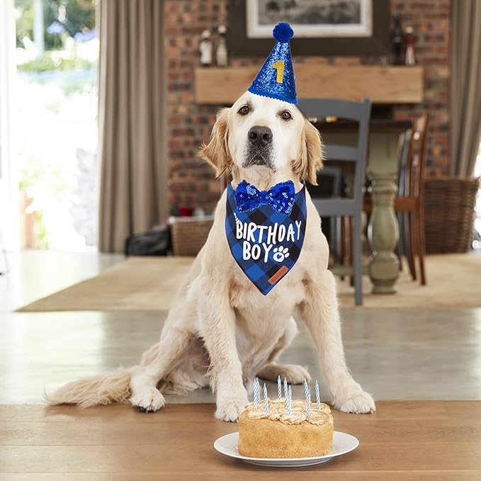 ADOGGYGO Dog Birthday Party Supplies, Pet Party Hat - Image 2