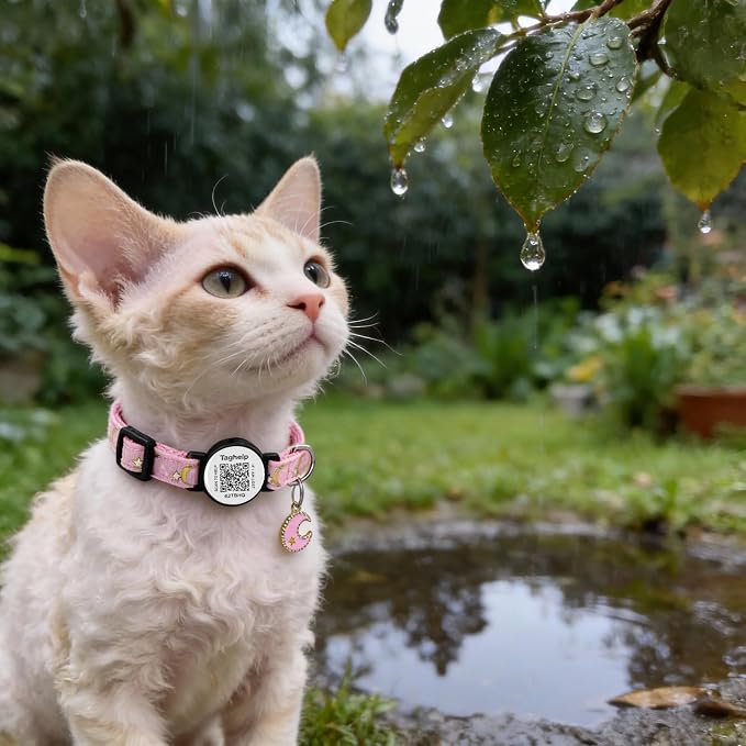 Smart Lost & Found System: Breakaway Cat Collar - Image 2