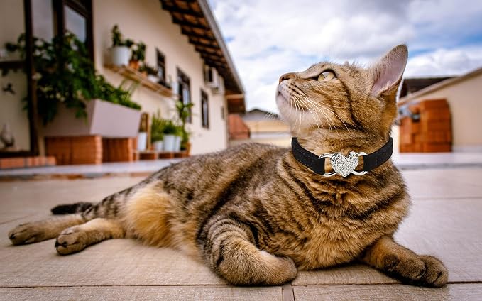 Heart Bling Cat Collar with Safety Belt and Bell Adjustable 8-10 inches - Image 6
