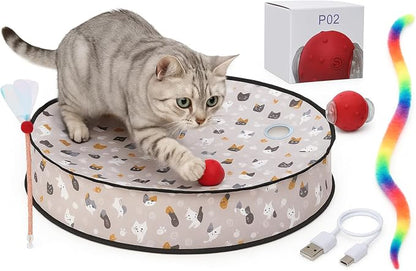 Interactive Cat Toys for Indoor Cats – Moving Ball Cat Play Mat, Interactive by ALEENAENTERPRISESLLC