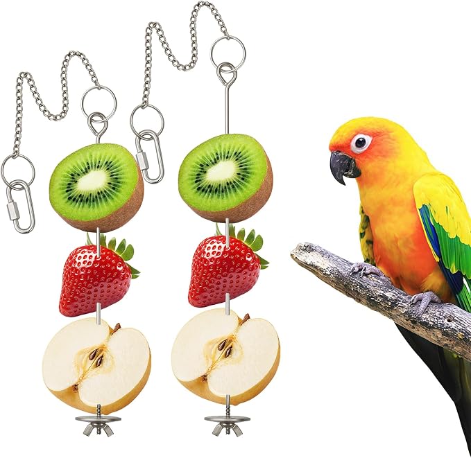 2 Pcs Chain Clauses Bird Cage Food Holder Stainless Steel Parrot Fruit & by Unknown