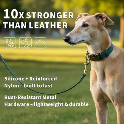 Dog Collar and Leash Set, Leather Silicone Waterproof Odor-Proof Dog Collar and - Image 2