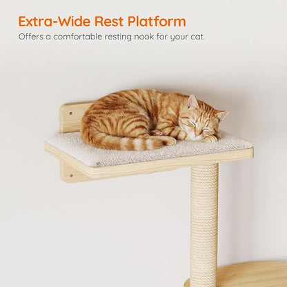 HOOBRO Wood Cat Wall Shelves for Large Cats, 11-Piece Cat Wall Furniture - Image 5