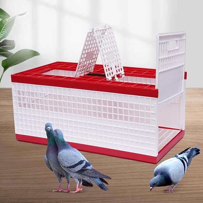 Plastic Foldable Pigeon Carrier Cage, Racing Pigeon Carrier Box - Image 3