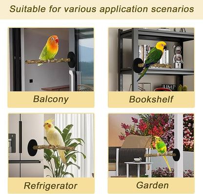 ASOCEA Bird Perch Bird Stand - Image 5