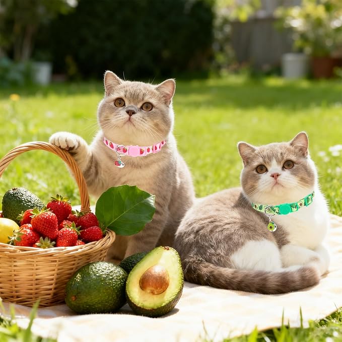 PUPTECK Breakaway Cute Cat Collar - Image 7
