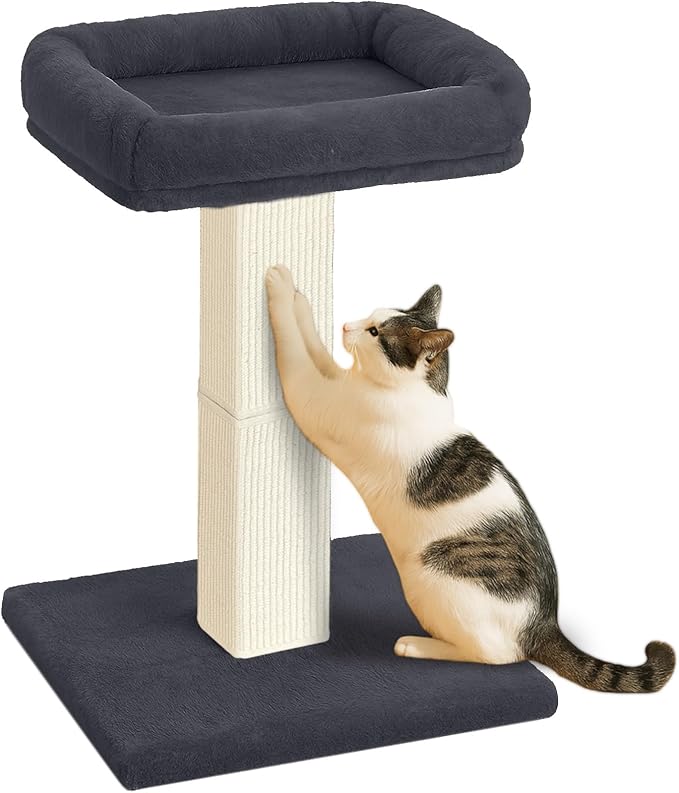 AGYM Cat Scratching Post, 32”Cat Scratcher by AGYM