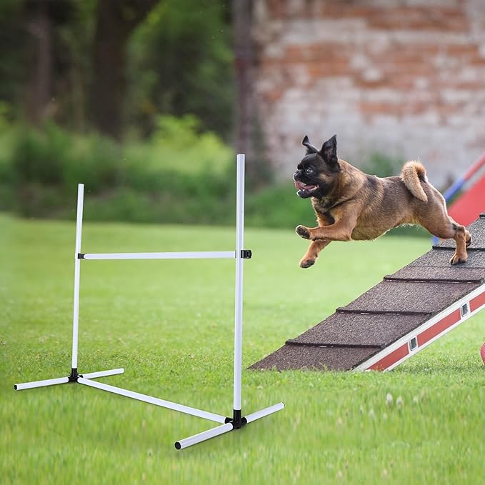 Shappy 4 Pieces Dog Agility Equipment - Image 6
