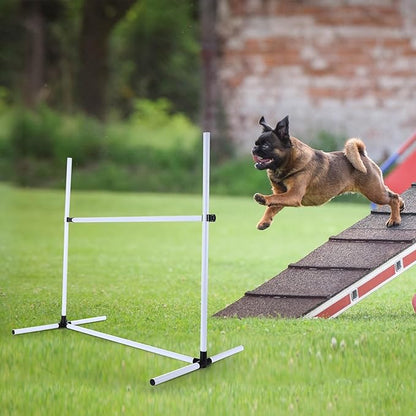Shappy 4 Pieces Dog Agility Equipment - Image 6