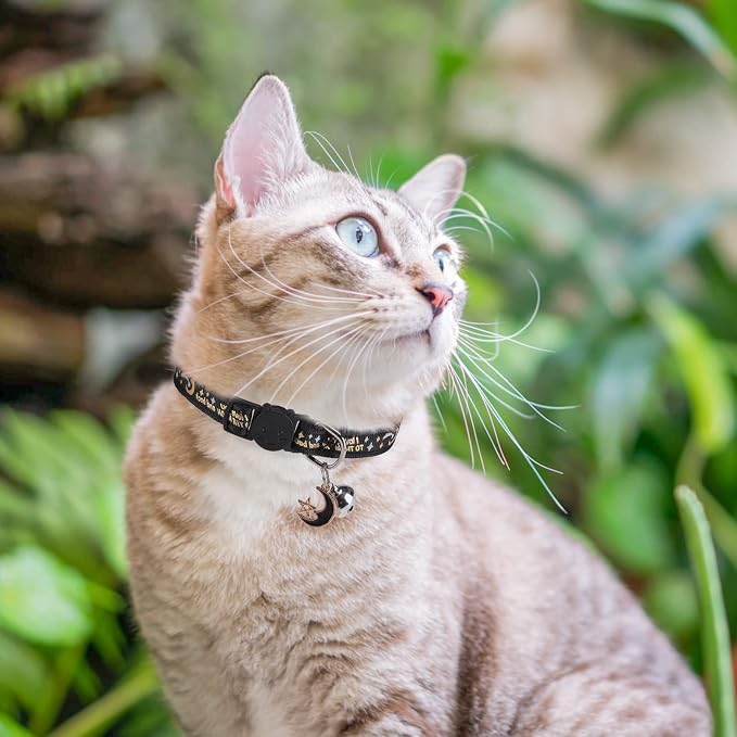 Cat Collar with Bells Breakaway, 3 Pack Moon and Star Cat Collar Reflective - Image 7
