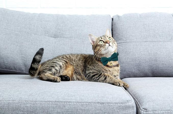 Soft Corduroy Cat Collar with Bell and Bowtie, Safety Breakaway Clasp, - Image 4