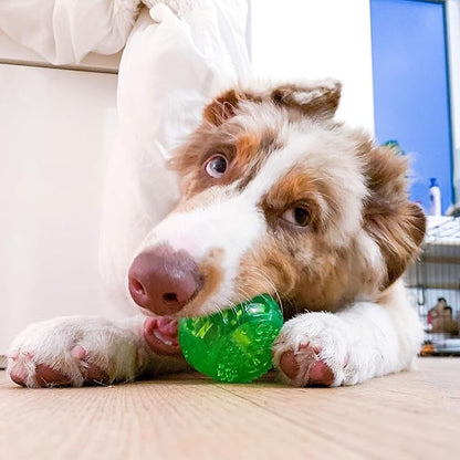 Hyper Pet DuraSqueak Dog Ball Toy, Interactive, Dog Balls - Image 5