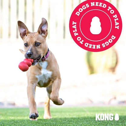KONG - Puppy Toy Natural Teething Rubber - Fun to Chew, Chase and Fetch - - Image 8