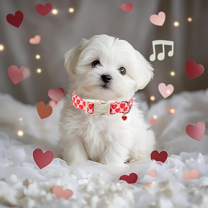 Valentines Dog Collar for Large Dogs - Image 7