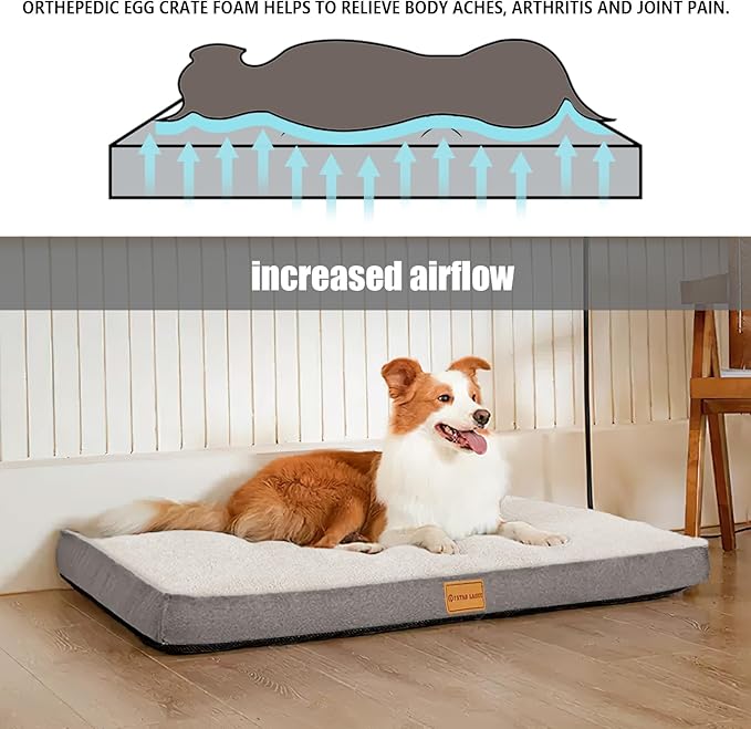 Patas Lague Orthopedic Jumbo Dog Bed - Image 3