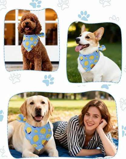 Luxury Double-Layer Dog Birthday Bandana – Handmade, Silk-Soft Polyester - Image 5