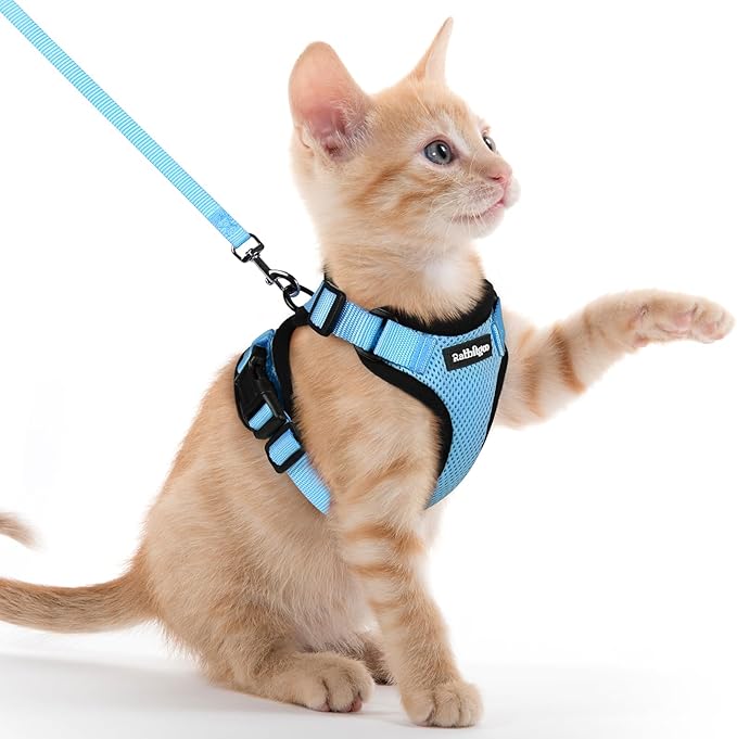 rabbitgoo Cat Harness and Leash by rabbitgoo