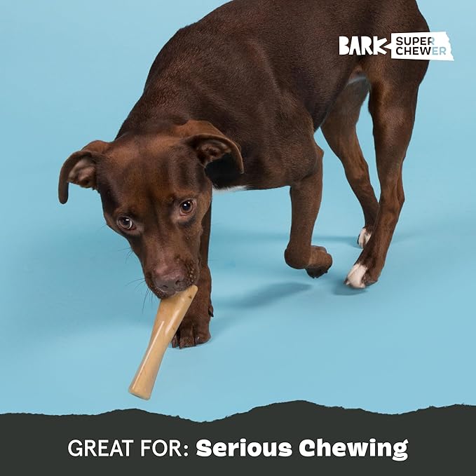 Barkbox Super Chewer Tough Dog Chew Toys - Image 5