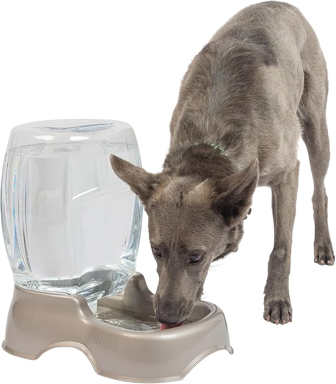 Petmate Pet Cafe Cat and Dog Water Dispenser - Image 2
