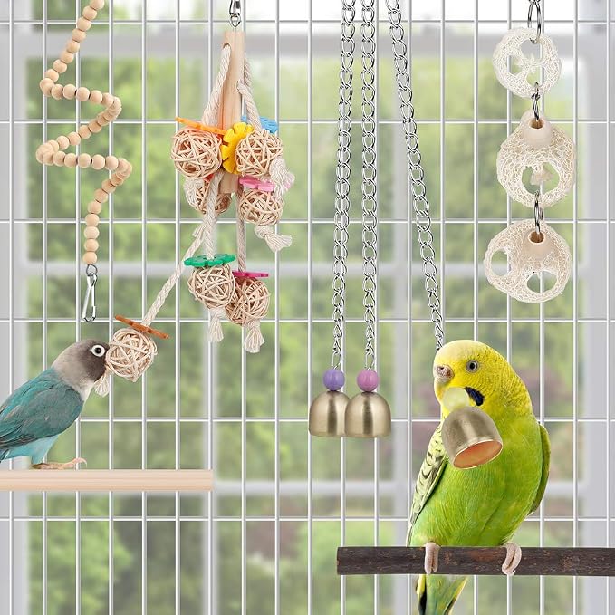 For Parakeet, Love Birds, Parrots - Image 3