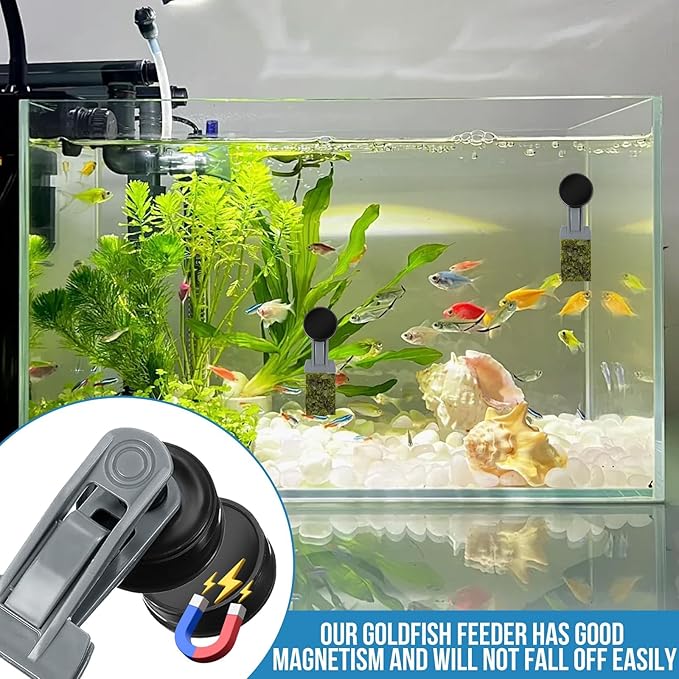 2Pcs Goldfish Feeder, Saltwater Aquarium Accessories Supplies Algae Magnet - Image 4