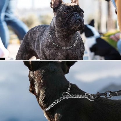 TagME Chain Choke Collar for Dogs, Adjustable Weather Proof Necklace for Medium - Image 3