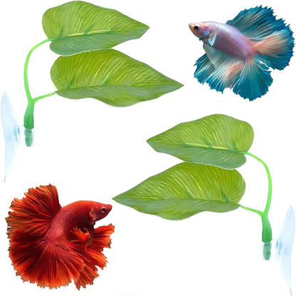 Beta Fish Toys, Betta Fish Tank Decorations Aquarium Decor by Qivorimith