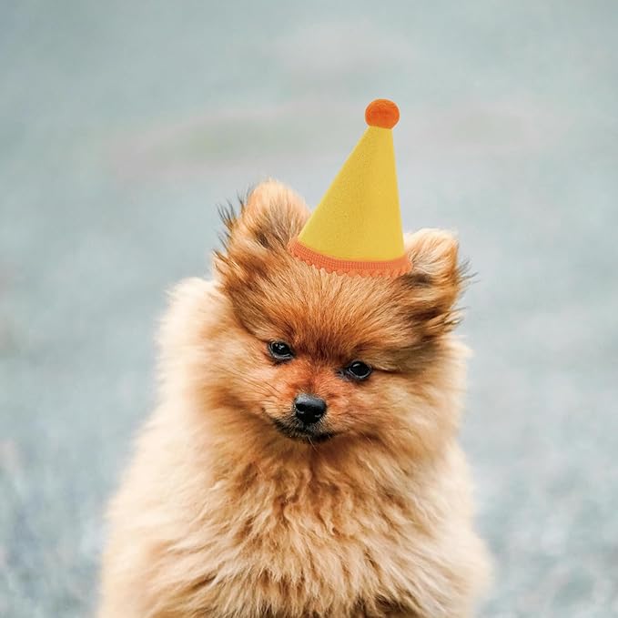 20 Pcs Dog Birthday Hat Set for Small Medium Dogs Cat Puppies, Mini Party Hat - Image 5