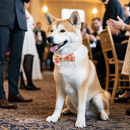 Segarty Dog Bow Tie, Adjustable Orange Plaid Bowtie Collar - Image 6