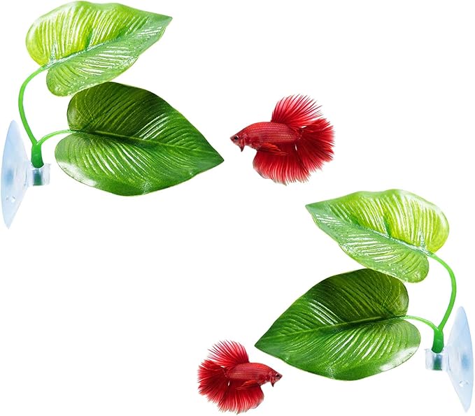 CousDUoBe 2 Pack Betta Fish Leaf Pad Improves Betta's Health by Simulating The by CousDUoBeAquariumfishtankdecoration