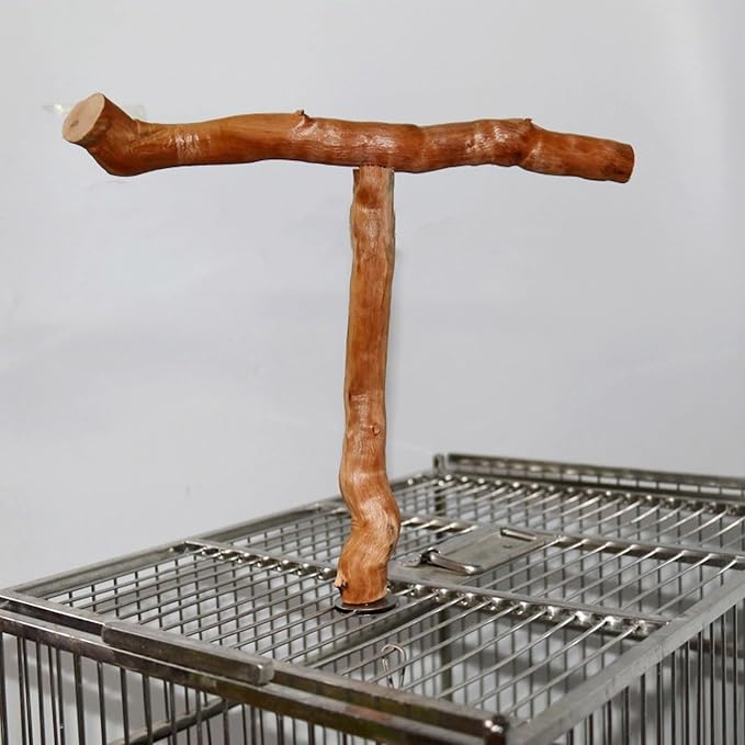 Asixxsix Wood Bird Perch, T Shaped Birdcage Stand Wooden Parrot Perch Stand - Image 4