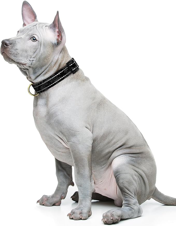 Reflective Dog Collar for Medium Dogs, Cute Camouflage Adjustable Heavy-Duty - Image 2