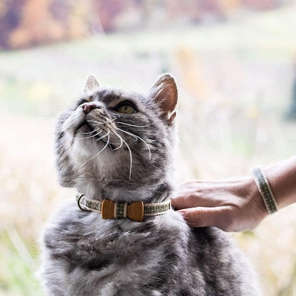 Pettsie Breakaway Cat Collar - Image 4