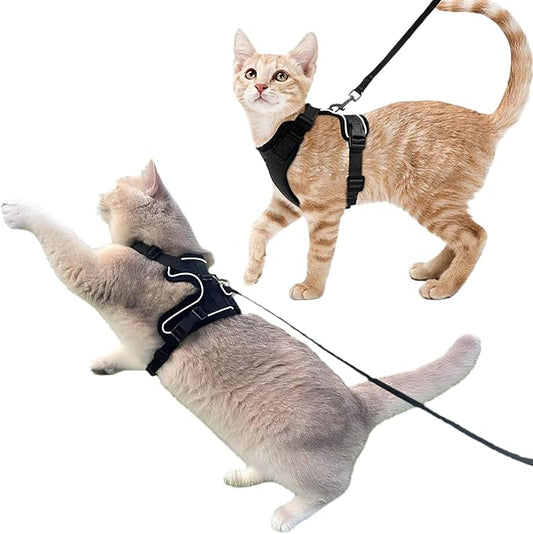Luxelle 2 Pack Escape-Proof Cat Harness and Leash Set by Unknown