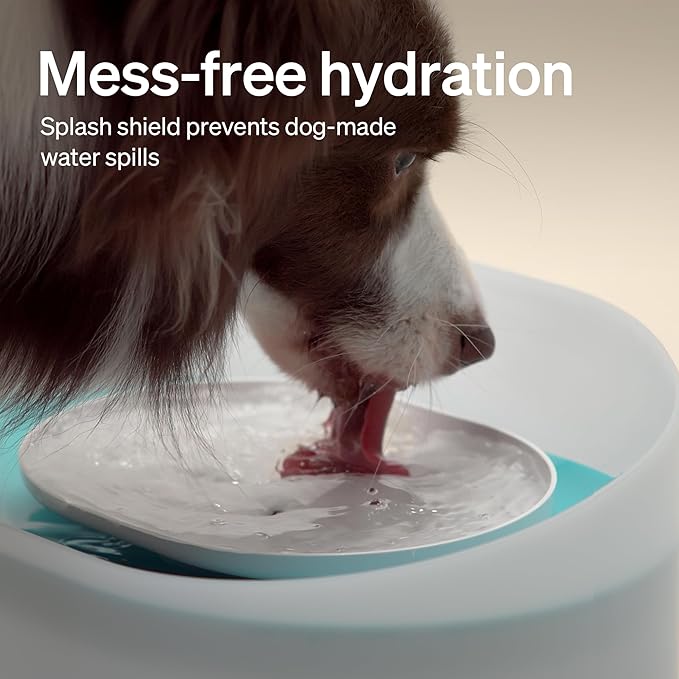 PETLIBRO 2.1Gal/8L Dog Water Fountain - Image 3