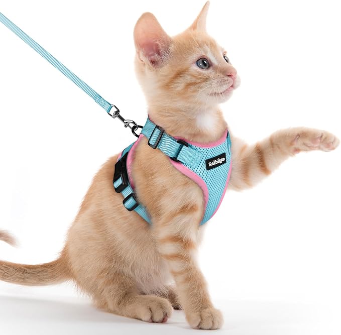 rabbitgoo Cat Harness and Leash by rabbitgoo