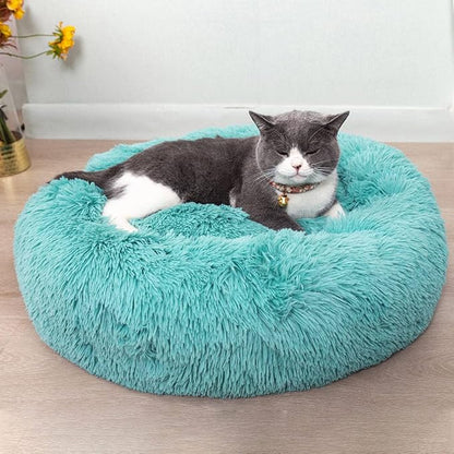 Cat Beds for Indoor Cats by Unknown