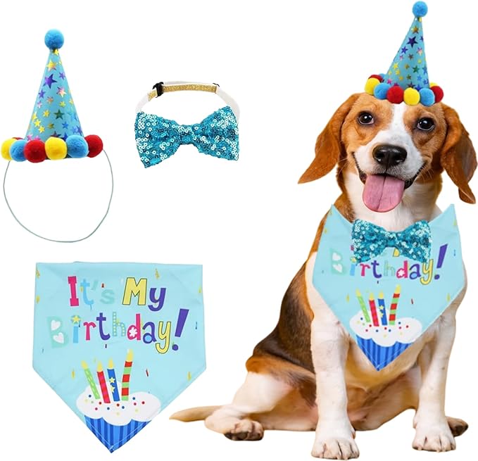 Pet Birthday Party Set with Hat and Bandana by Unknown