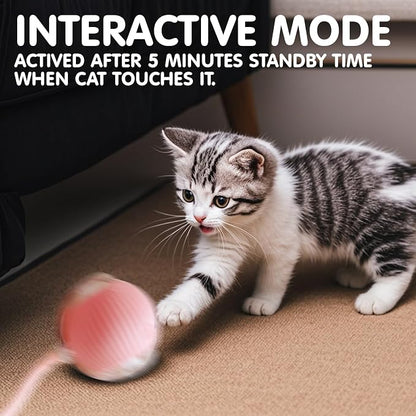 Rocfish Durable Interactive Cat Toys - Image 6