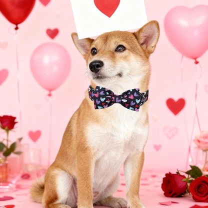 Valentines' Black Dog Collar - Image 5
